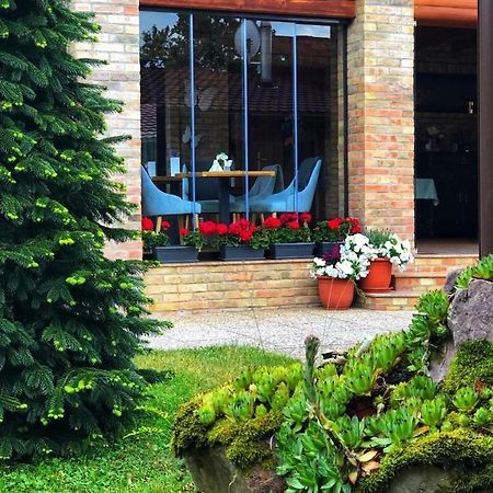 Villa Diva Budureasa Exterior foto