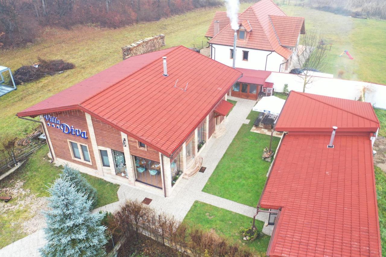Villa Diva Budureasa Exterior foto