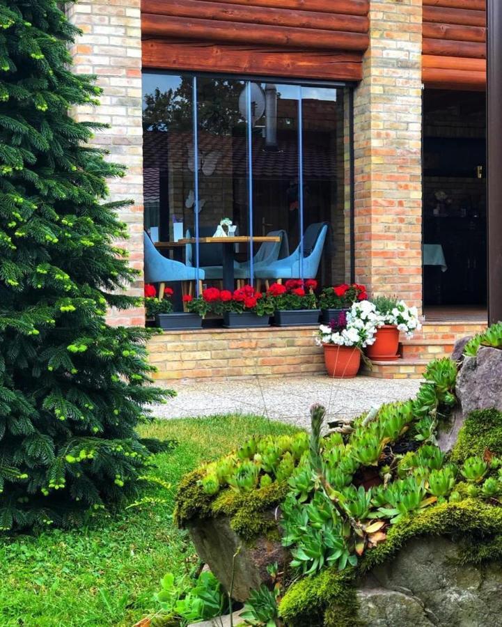 Villa Diva Budureasa Exterior foto