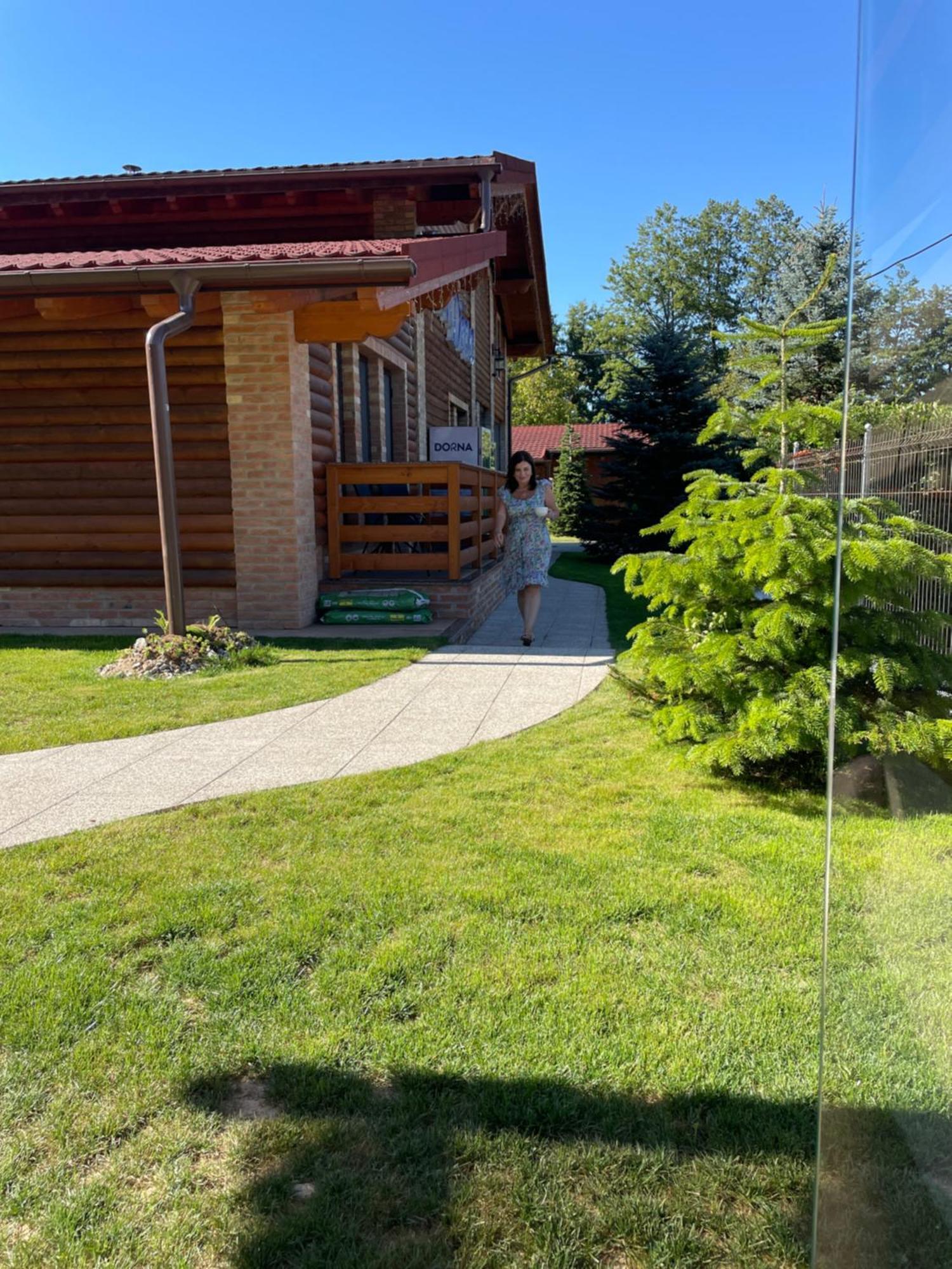 Villa Diva Budureasa Exterior foto